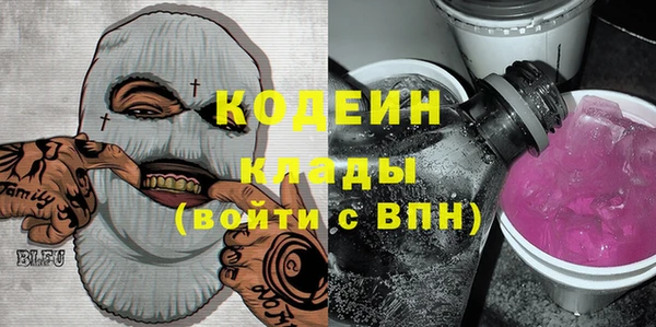 шишки Козловка