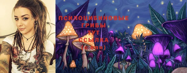 ALPHA-PVP Козельск