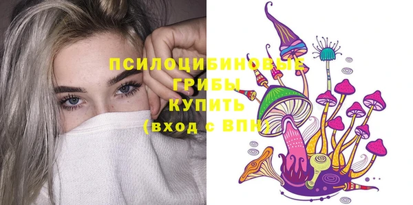 шишки Козловка