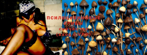 МДПВ Киреевск