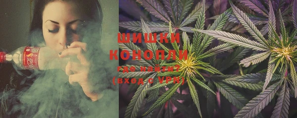 шишки Козловка