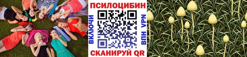 Галлюциногенные грибы Magic Shrooms  Купить  Валдай 